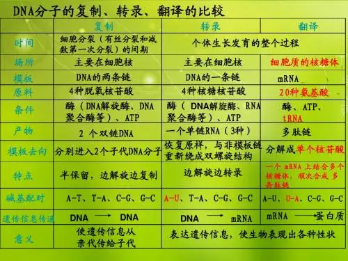 高中生物《第四章 第二节 基因对性状的控制》课件1 新人教版必修2