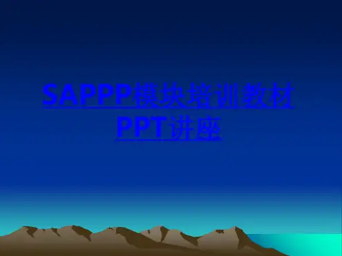 SAPPP模块培训教材课件