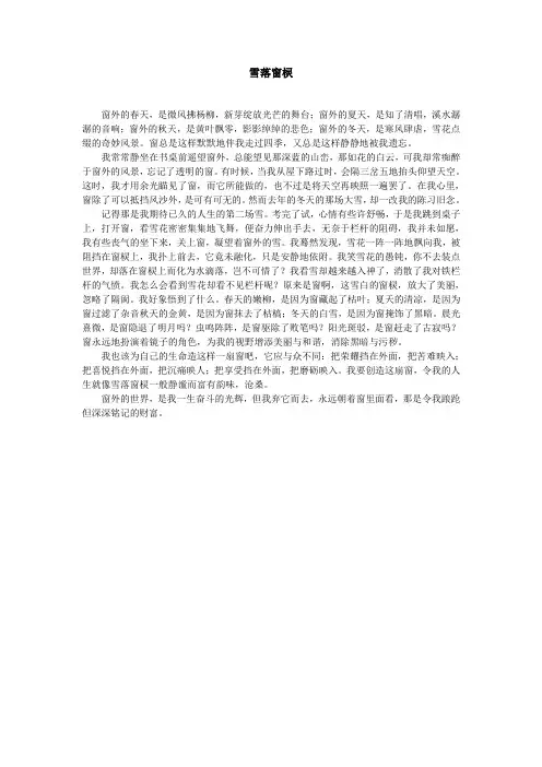 景德镇市中考满分作文-雪落窗棂