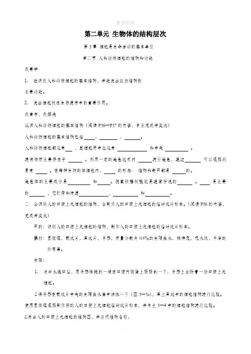 七年级生物上册第二单元生物体的结构层次单元测试题(无答案)