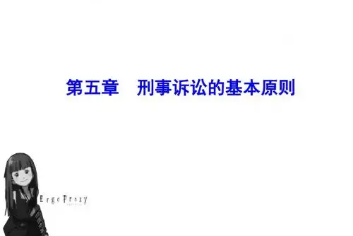 刑事诉讼法学--第5章 刑事诉讼的基本原则