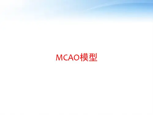 MCAO模型 ppt课件