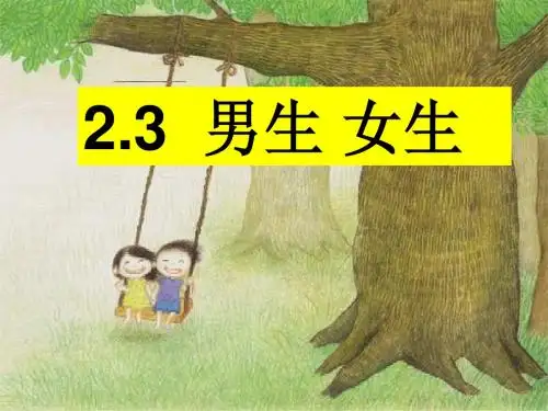 2.3男生女生第一课时
