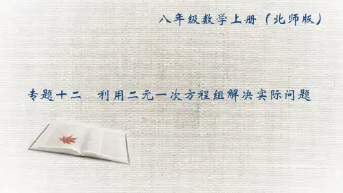 专题十二 利用二元一次方程组解决实际问题 公开课获奖课件