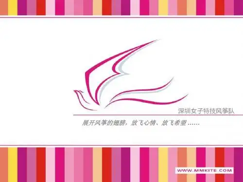 深圳女子特技风筝队 介绍