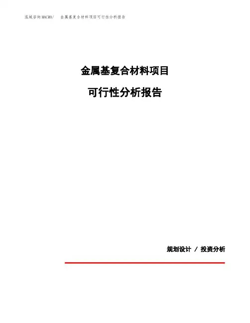 金属基复合材料项目可行性分析报告(模板参考范文)