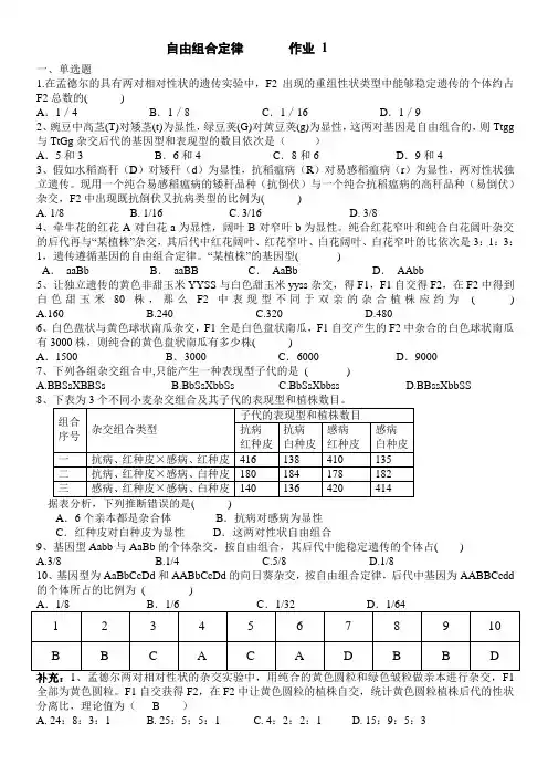 自由组合定律     练习题