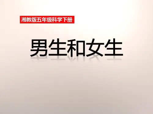 《男孩和女孩》 PPT实用课件