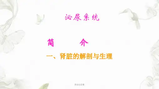 肾动态显像PPT课件