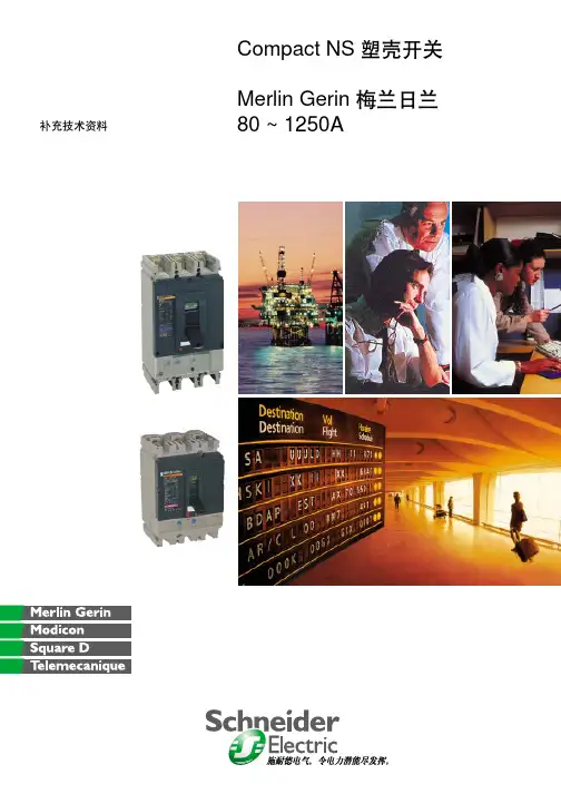 Compact NS塑壳开关  Merlin Gerin 梅兰日兰  80~1250A 补充技术资料
