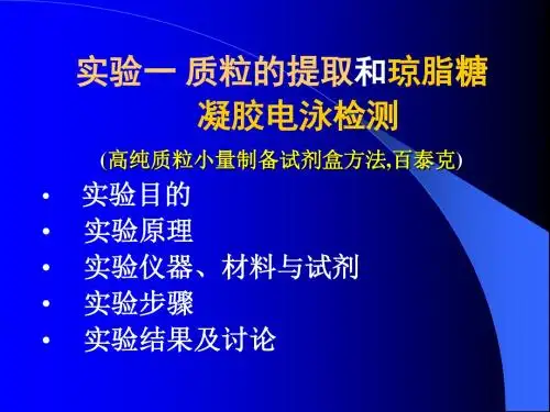 6实验六质粒的提取和琼脂糖凝胶电泳检测
