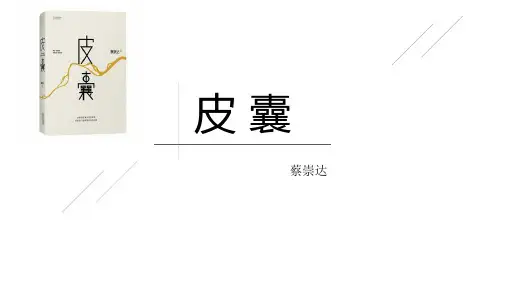 皮囊-蔡崇达