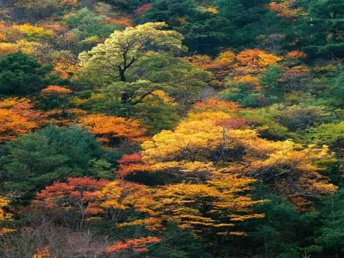 部编一年级语文上 《秋天》公开课PPT