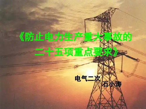 二十五项反措讲述