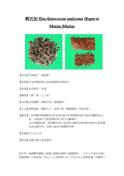 刺五加