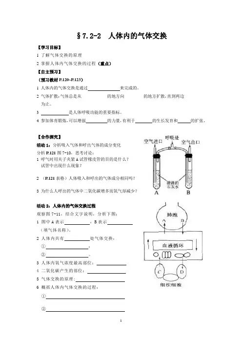 人体内的气体交换