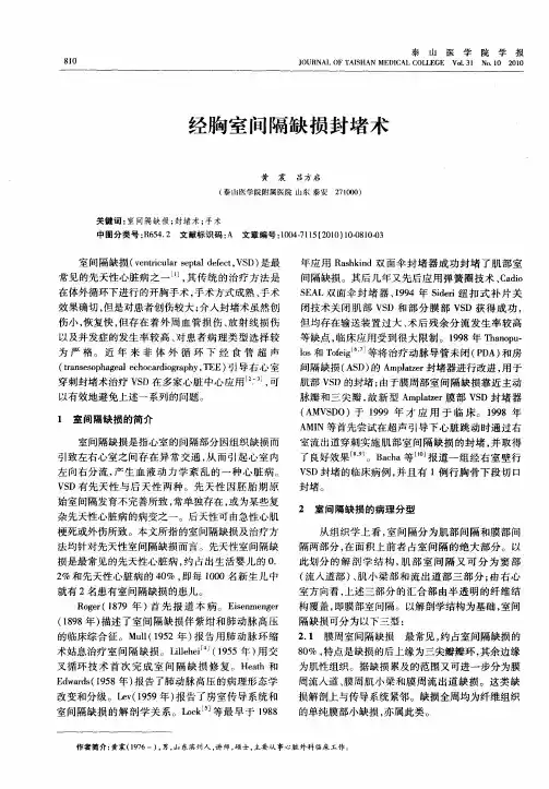 经胸室间隔缺损封堵术
