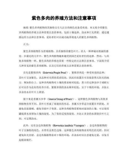紫色多肉的养殖方法和注意事项