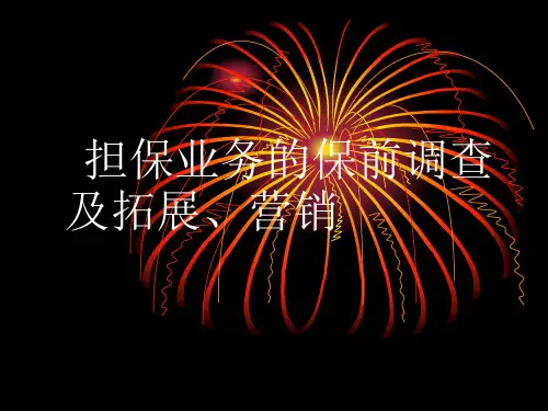 担保业务保前调查及拓展营销