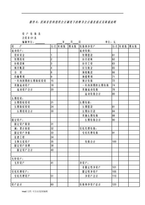民间非营利组织企业会计制度下的财务企业会计报表格式及填报