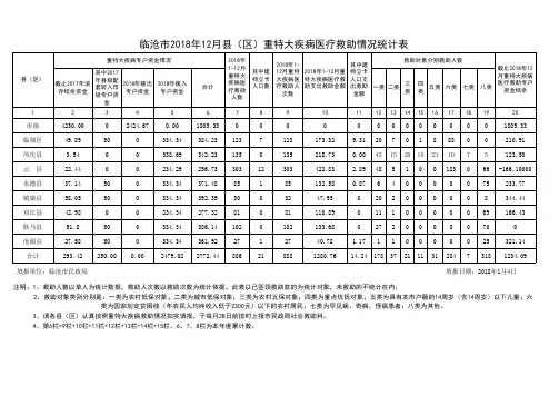 重特大疾病医疗救助情况统计表