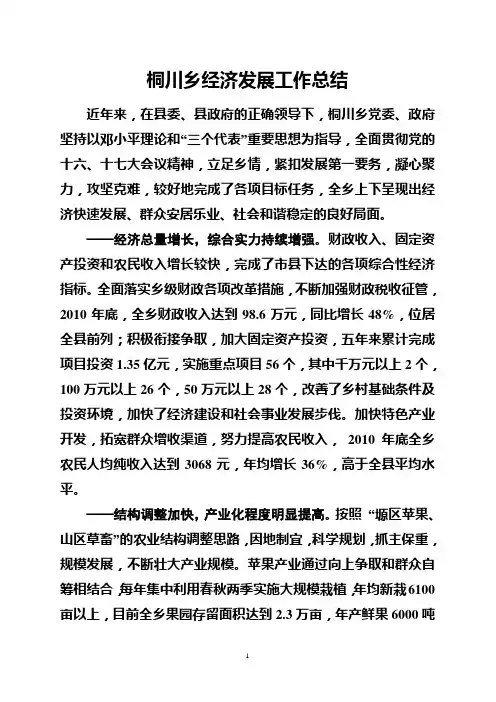 乡镇经济发展工作总结