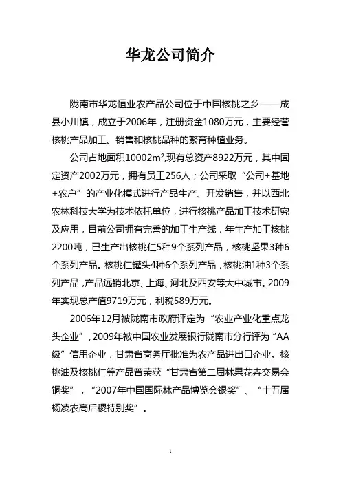华龙公司简介