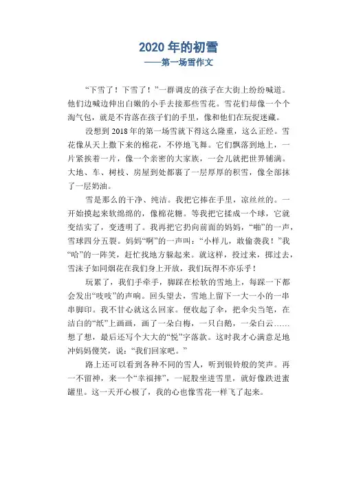 小学生优秀写景习作：2020年的初雪_第一场雪作文