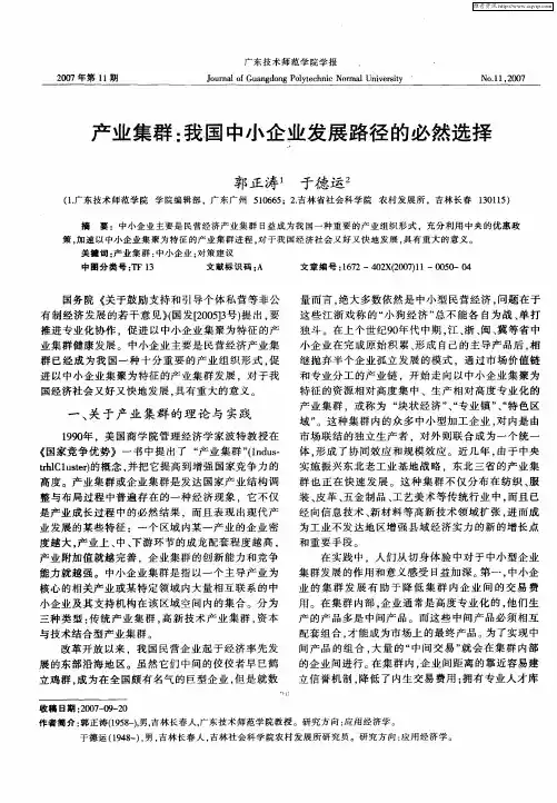 产业集群：我国中小企业发展路径的必然选择