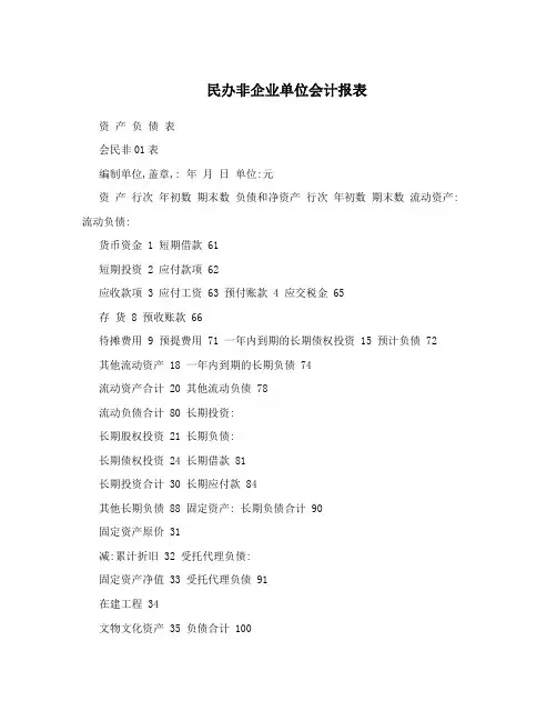 民办非企业单位会计报表 2