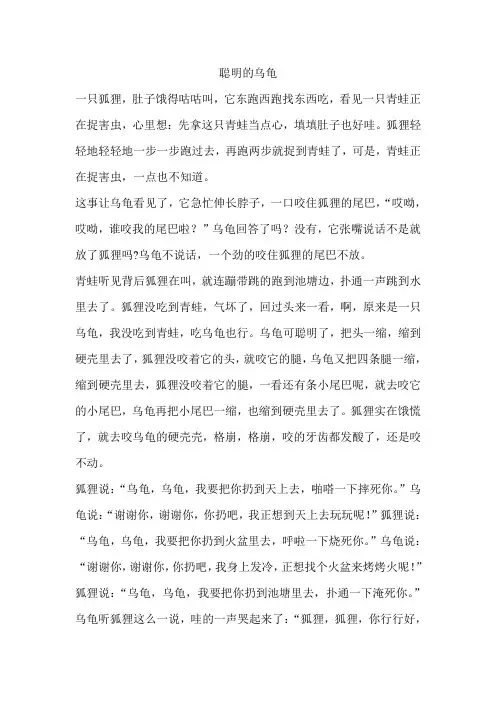 聪明的乌龟