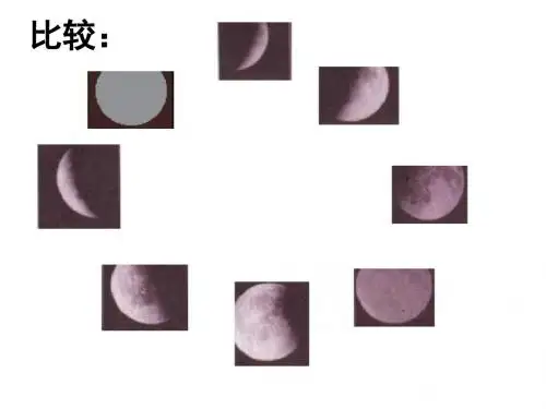 七年级科学月相11