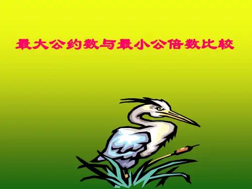 最大公约数与最小公倍数比较1(新编教材)