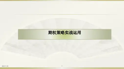 实战期权策略应用PPT