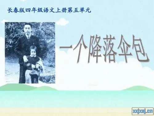 一个降落伞包