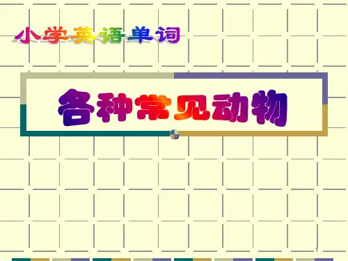 经典：小学英语分类单词(动物类)