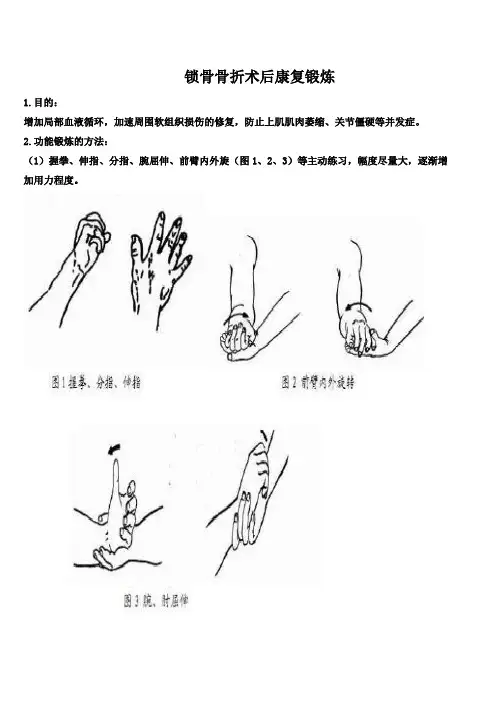 四肢骨折功能锻炼