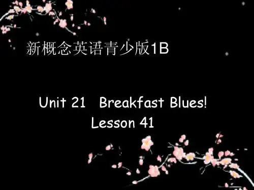 新概念青少版1BUnit21Lesson 41