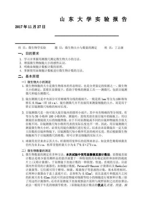 微生物大小与数量的测定实验报告