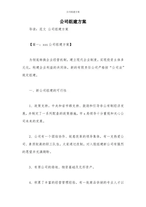 公司组建方案