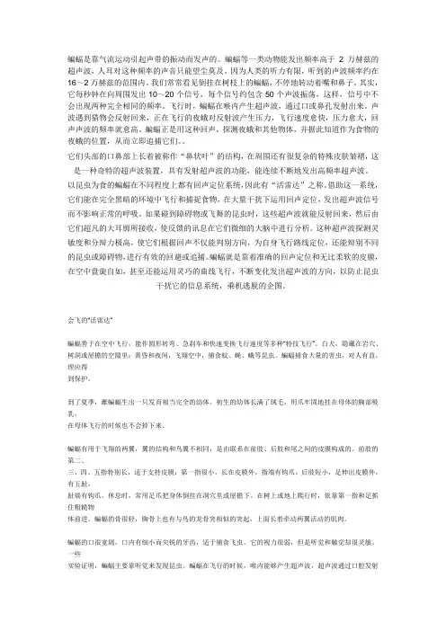 蝙蝠  超声波