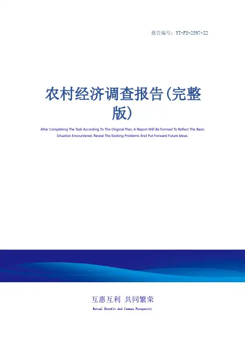 农村经济调查报告(完整版)