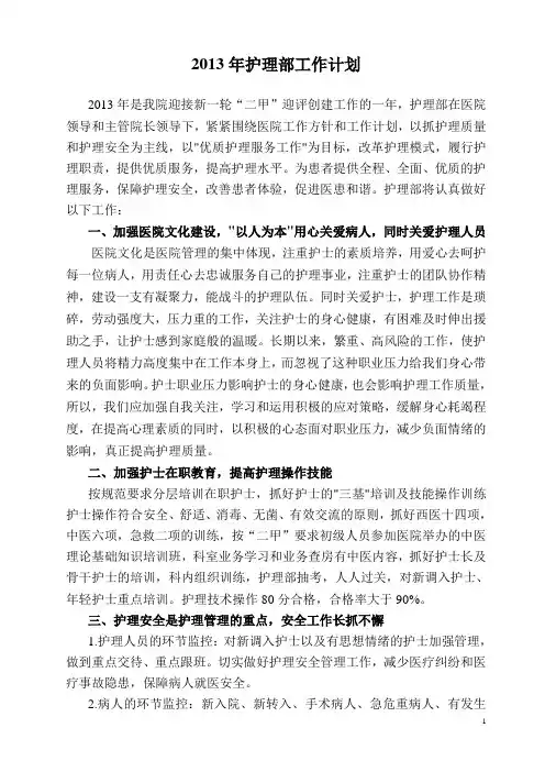 2013年护理部工作计划