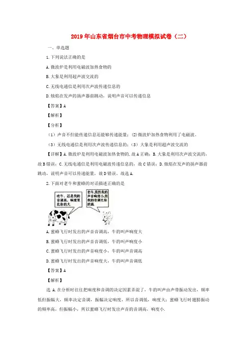 山东省烟台市2019年中考物理模拟试题(含解析)