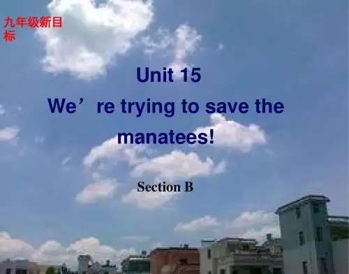 英语九年级上人教新课标unit15课件