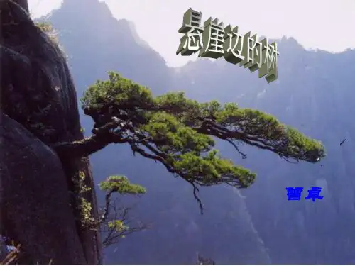 《悬崖边的树》曾卓共42页