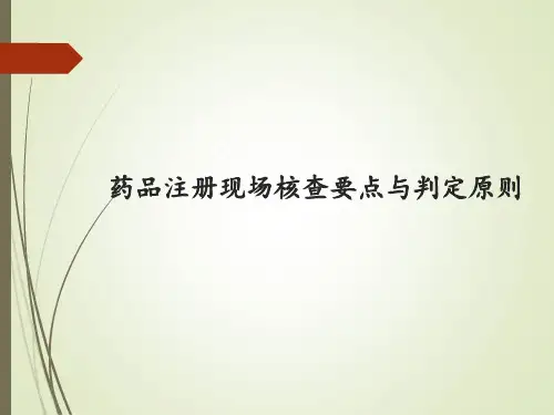 药品注册现场核查注意事项