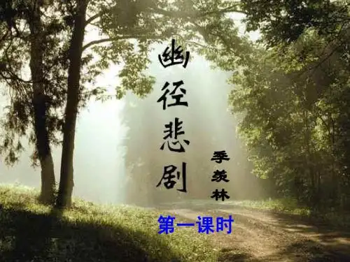 幽径悲剧