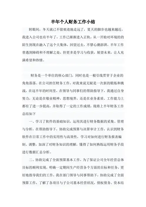 半年个人财务工作总结