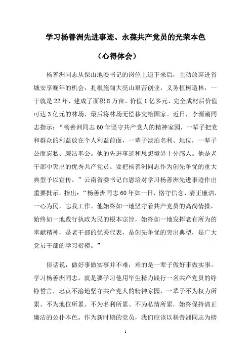 学习杨善洲先进事迹心得体会